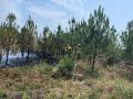 Agentes forestales trabajando en la extinción del incendio de Parada, en Carnota