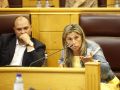 La alcaldesa de Vimianzo y diputada de Vías e Obras, este viernes en el pleno de la Diputación