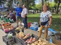 Feria de Carballo, este jueves (3)