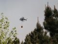 Incendio forestal en Caión (36)