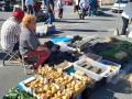 Las patatas nuevas llegan a la feria de Paiosaco