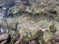 Restos del pecio en la playa de A Arnela de Corme