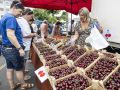 La nueva edición de la Feira das Cereixas se celebrará en Paiosaco el domingo día 5 de julio