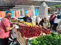 Feira Paiosaco este domingo