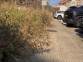 La maleza invade la acera en la rúa Ventorrillo de Malpica