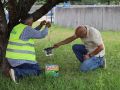 Instalación de la primera trampa contra el mosquito tigre en Carballo