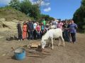 Un total de catorce jóvenes de entre 18 y 30 años participan en un nuevo campo de voluntariado en  A Laracha