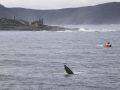 Vista de la proa del narcosubmarino localizado a finales de enero del pasado año en aguas de Muxía