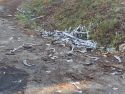 Basura en la carballeira de Santa Mariña de Corcoesto