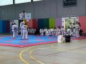 Exhibición de deportes de contacto en Cee (2)
