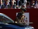 Un perro de la Policía Nacional participa en el desfile del Día de la Fiesta Nacional