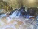Fuga de agua localizada en A Rega