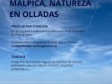 Cartel del concurso fotográfico de Malpica