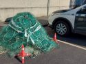 Robo aparejos de pesca