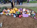 Las calabazas son las principales protagonistas por el Samaín