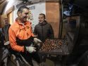 Magosto en A Milagrosa el sábado pasado