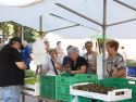 Feria de Carballo (9)