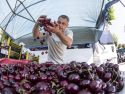 Cientos de personas se volvieron a dar cita este domingo en Paiosaco para disfrutar de la Feira das Cereixas