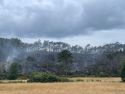 El incendio que hubo este lunes en Badalama, Vimianzo, arrasó más de media hectárea de monte | cedida