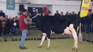 El ideal gallego