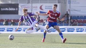 El ideal gallego