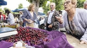 El ideal gallego