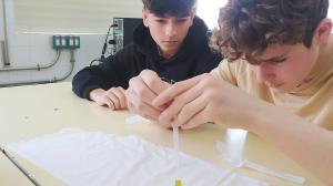 El ideal gallego