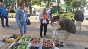El ideal gallego