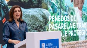 El ideal gallego