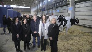 El ideal gallego