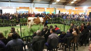 El ideal gallego