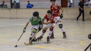 El ideal gallego