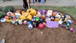 Las calabazas son las principales protagonistas por el Samaín