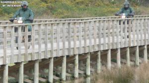 Robo de motocicletas de cross y enduro