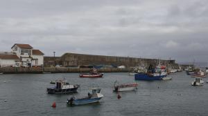 Flota de bajura de Malpica