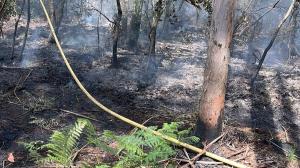 Incendios en Zas