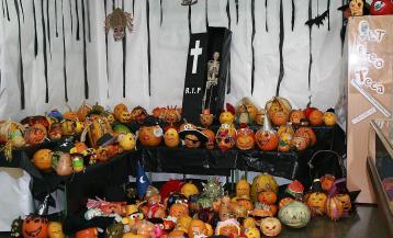 Una exposición de calabazas