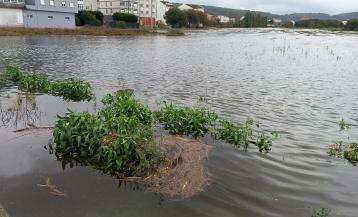 El rio Grande desbordado a su paso por Vimianzo