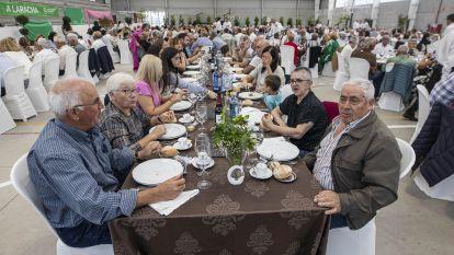 Comida cancer laracha 022