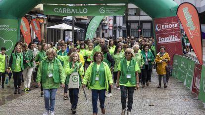 Andaina cancer caballo 018