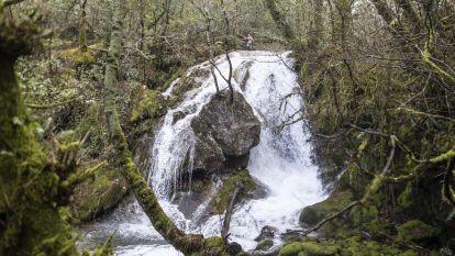 Trail da filloa 2025 071