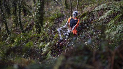 Trail da filloa 2025 013