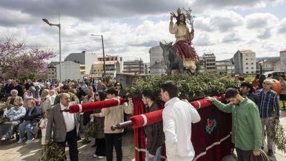 Domingo ramos 032