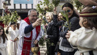 Domingo ramos 019