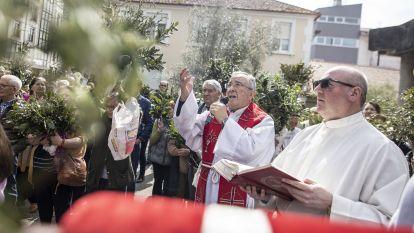 Domingo ramos 016