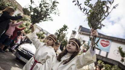Domingo ramos 015