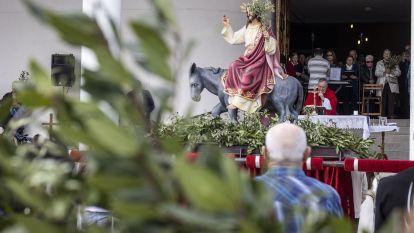 Domingo ramos 034