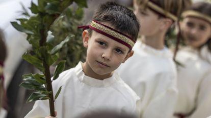 Domingo ramos 008