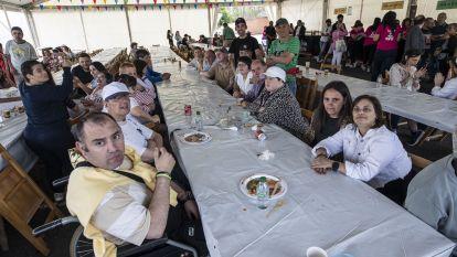 Festigual integro 012