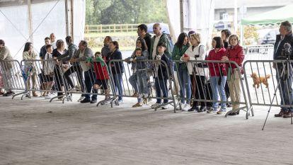 Concurso canino zas 007